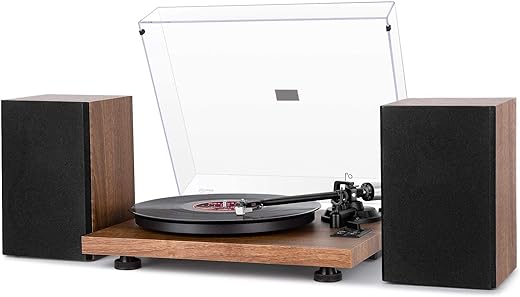 Top 6 Must-Have Turntable Players for Audiophiles like You